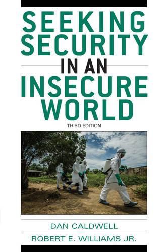 Cover image for Seeking Security in an Insecure World