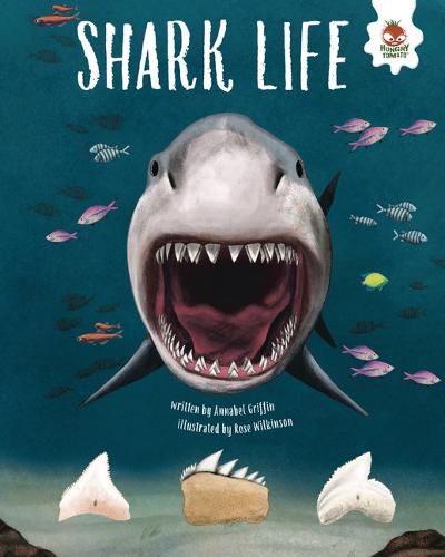 Cover image for Shark Life