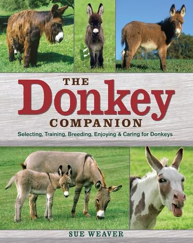 Cover image for Donkey Companion