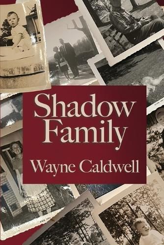 Cover image for Shadow Family