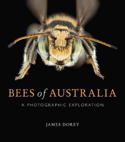 Bees of Australia: A Photographic Guide