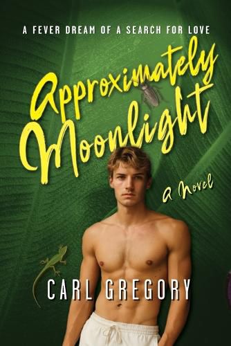 Cover image for Approximately Moonlight