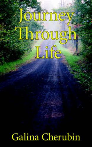 Cover image for Journey Through Life