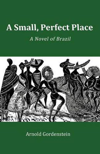 Cover image for A Small, Perfect Place: A Novel of Brazil