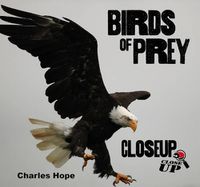 Cover image for Birds of Prey CloseUp