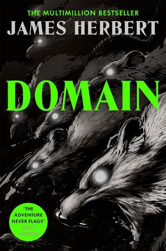 Cover image for Domain