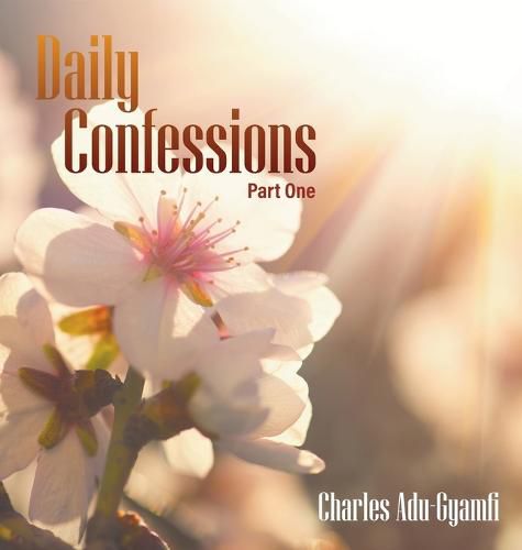 Cover image for Daily Confessions