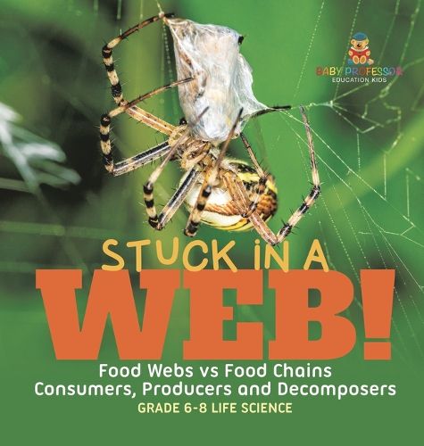 Stuck in a Web! Food Webs vs Food Chains Consumers, Producers and Decomposers Grade 6-8 Life Science