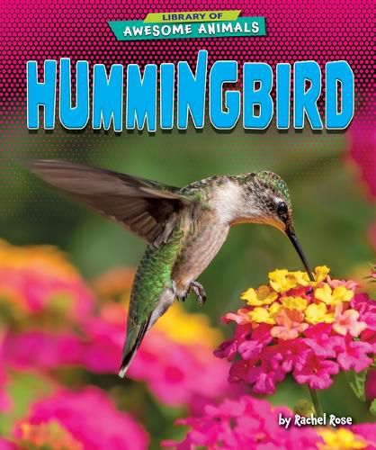 Cover image for Hummingbird