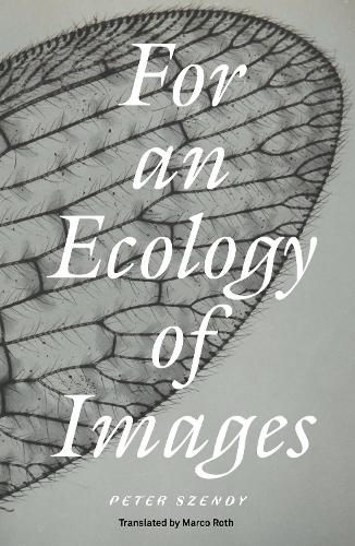 Cover image for For an Ecology of Images