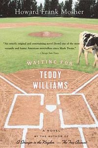 Cover image for Waiting for Teddy Williams