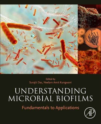 Cover image for Understanding Microbial Biofilms: Fundamentals to Applications