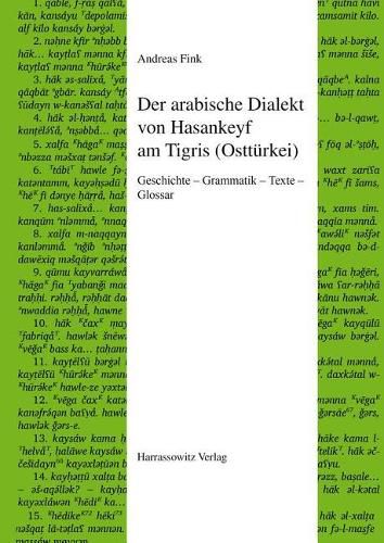 Cover image for Der Arabische Dialekt Von Hasankeyf Am Tigris (Ostturkei): Geschichte - Grammatik - Texte - Glossar