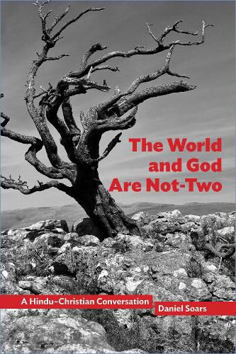 Cover image for The World and God Are Not-Two: A Hindu-Christian Conversation