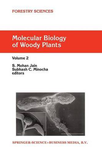 Cover image for Molecular Biology of Woody Plants: Volume 2