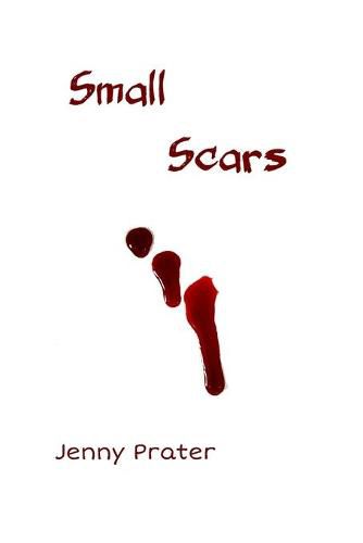 Cover image for Small Scars