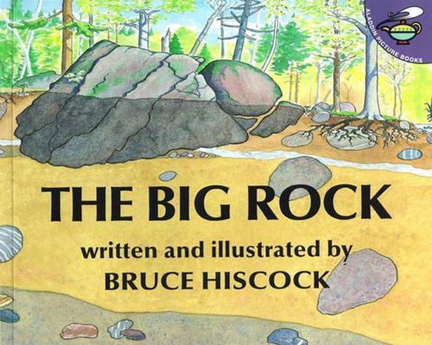 Cover image for The Big Rock