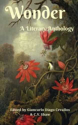 Cover image for Wonder