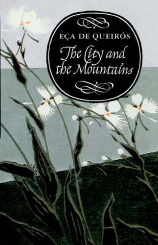 Cover image for The Sin of Father Amaro