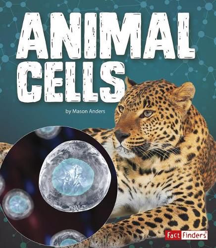 Cover image for Animal Cells