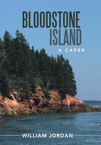 Cover image for Bloodstone Island: A Caper