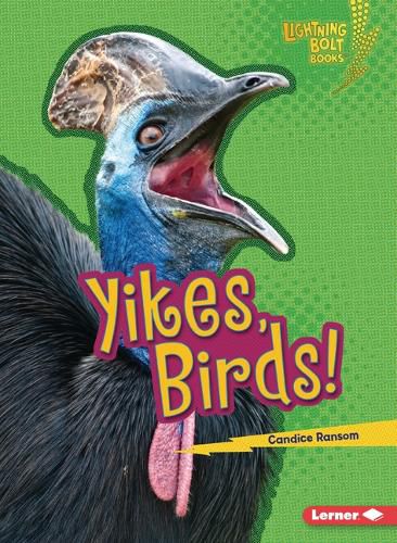 Cover image for Yikes, Birds!