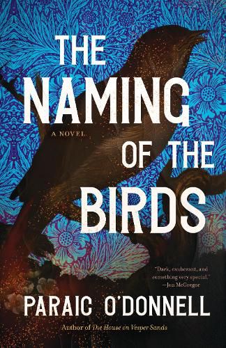 Cover image for The Naming of the Birds