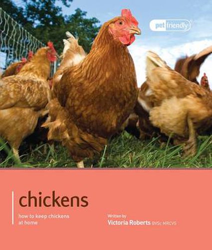 Cover image for Chicken - Pet Friendly