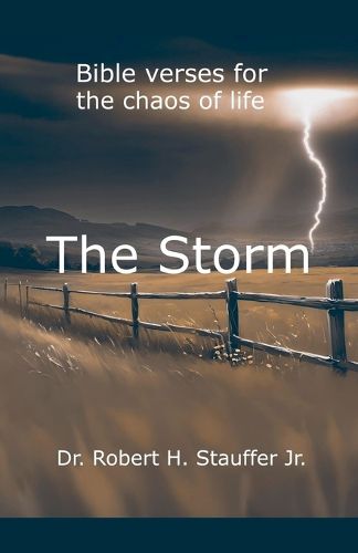 Cover image for The Storm