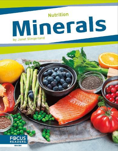 Cover image for Minerals
