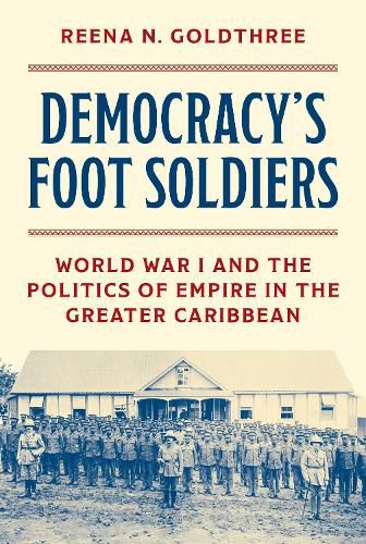 Cover image for Democracy's Foot Soldiers