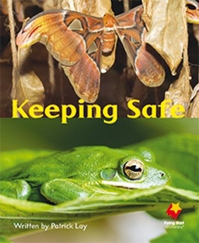 Cover image for Keeping Safe