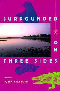 Cover image for Surrounded on Three Sides