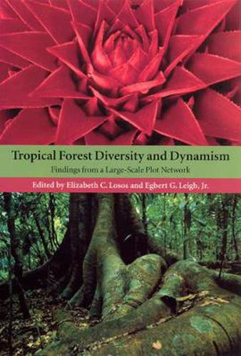 Cover image for Tropical Forest Diversity and Dynamism: Findings from a Large-Scale Network