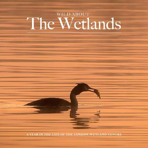 Wild Wild about The Wetlands: A Year in the Life of The London Wetland Centre