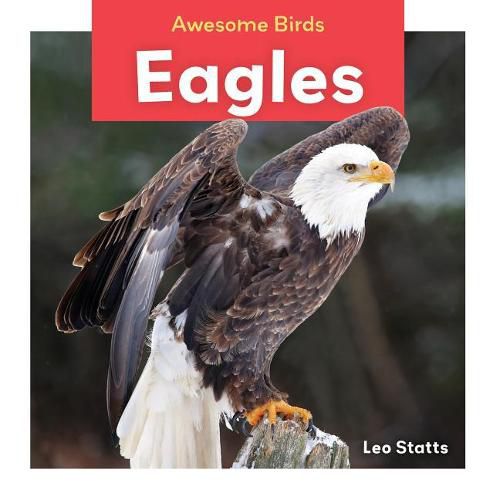 Cover image for Eagles