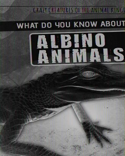 Cover image for What Do You Know about Albino Animals?