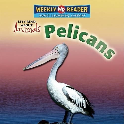 Cover image for Pelicans