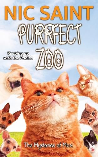 Cover image for Purrfect Zoo