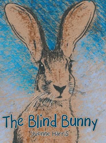 Cover image for The Blind Bunny