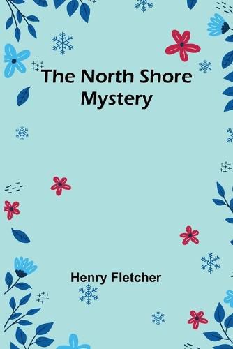 Cover image for The North Shore Mystery