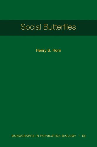 Social Butterflies