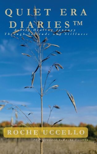 Cover image for Quiet Era Diaries