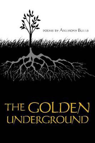 Cover image for The Golden Underground