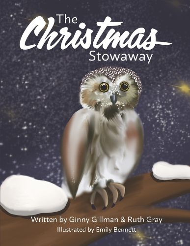 Cover image for The Christmas Stowaway