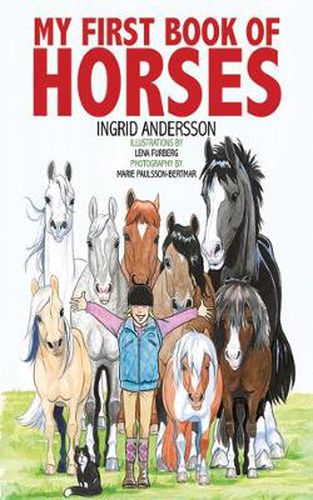 Cover image for My First Book of Horses