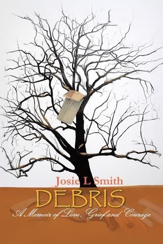 Cover image for Debris