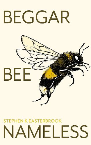 Cover image for Beggar Bee Nameless