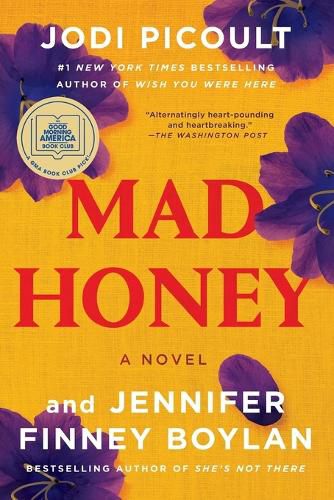 Cover image for Mad Honey: A GMA Book Club Pick