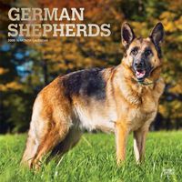 Cover image for German Shepherds 2020 Square Wall Calendar
